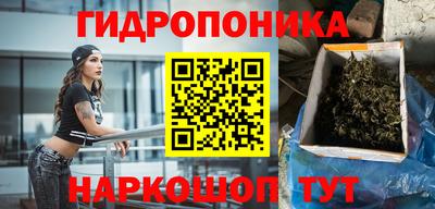 ешки Кингисепп