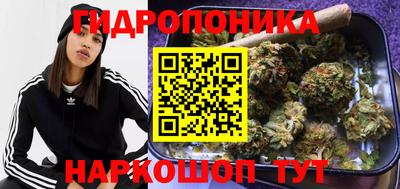 ешки Кингисепп