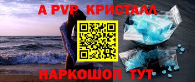 ешки Кингисепп