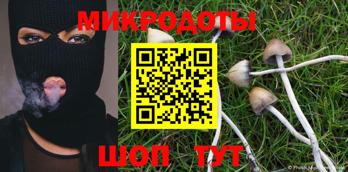 Псилоцибиновые грибы мухоморы Биробиджан