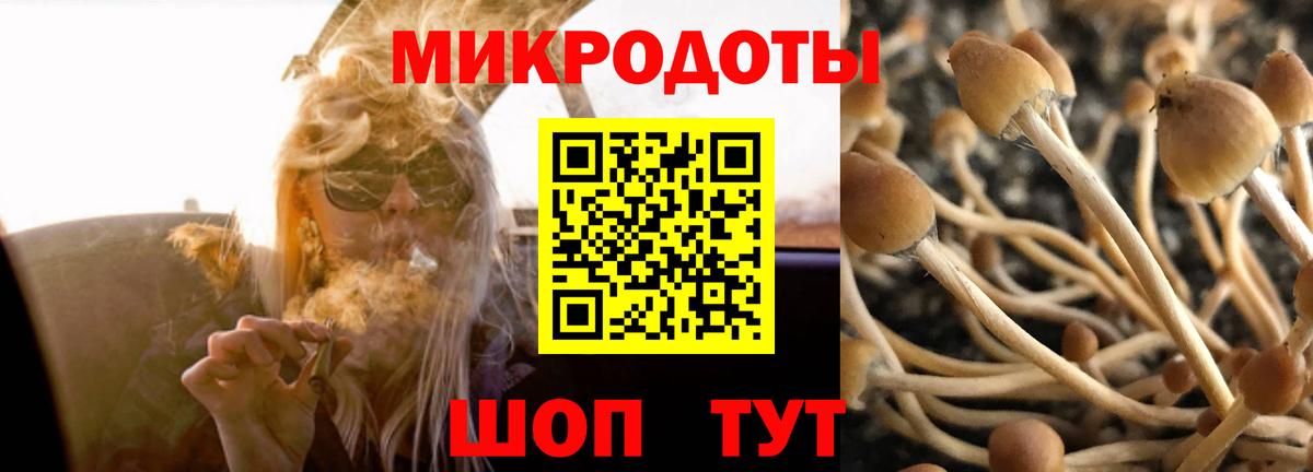 Псилоцибиновые грибы мицелий  Вход с VPN  Псилоцибиновые грибы прущие грибы  Биробиджан 